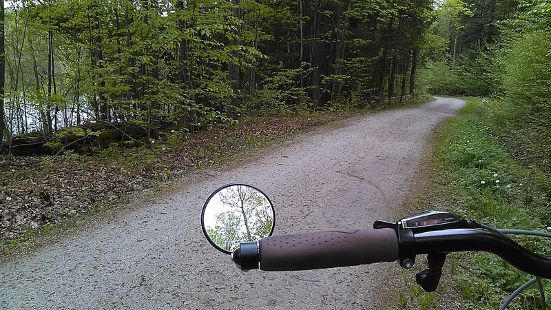 Piste cyclable en pleine forêt