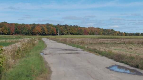 Une étroite route défoncée à travers un champ, couleurs de l'automne à l'horizon.